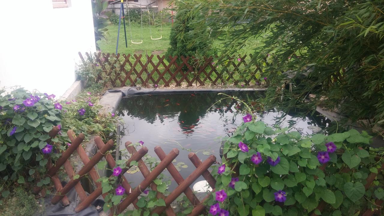 Rákóczi Vendégház Poroszló Exterior foto